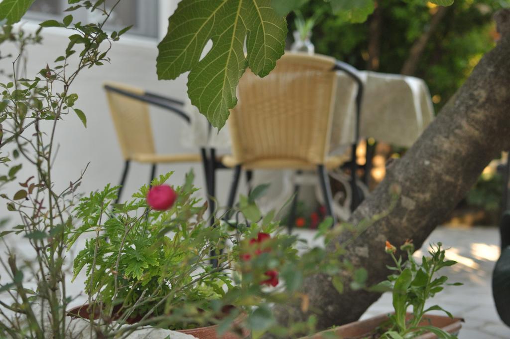 Apartments Casa Mia Kotor Dış mekan fotoğraf